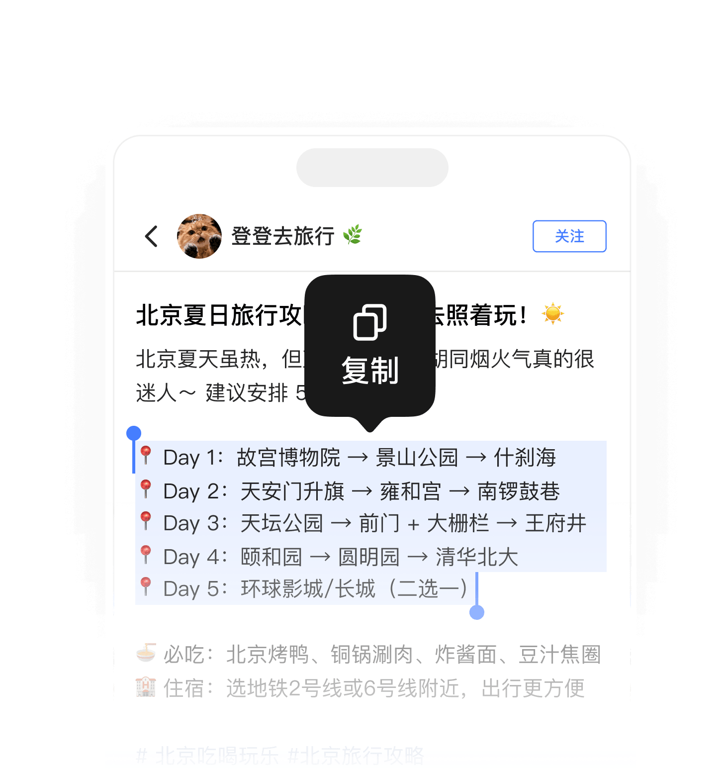 手机端旅行内容