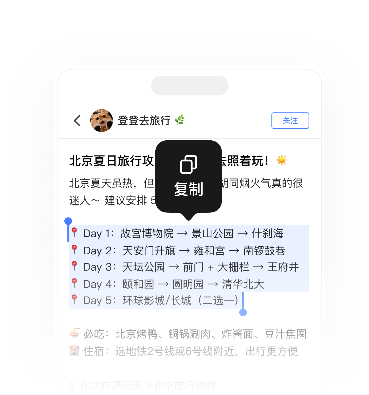 手机端旅行内容
